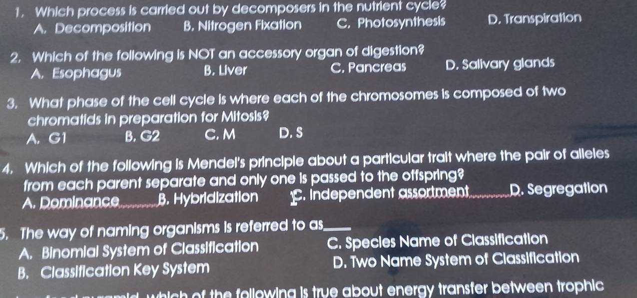 Which process is carried out by decomposers in the nutrient cycle?
A. Decomposition B. Nitrogen Fixation C. Photosynthesis D. Transpiration
2. Which of the following is NOT an accessory organ of digestion?
A. Esophagus B. Liver C. Pancreas D. Salivary glands
3. What phase of the cell cycle is where each of the chromosomes is composed of two
chromatids in preparation for Mitosis?
A. G1 B. G2 C. M D. S
4. Which of the following is Mendel's principle about a particular trait where the pair of alleles
from each parent separate and only one is passed to the offspring?
A. Dominance_ B. Hybridization. Independent assortment_ D. Segregation
5. The way of naming organisms is referred to as_
A. Binomial System of Classification C. Specles Name of Classification
B. Classification Key System D. Two Name System of Classification
which of the following is true about energy transfer between trophic