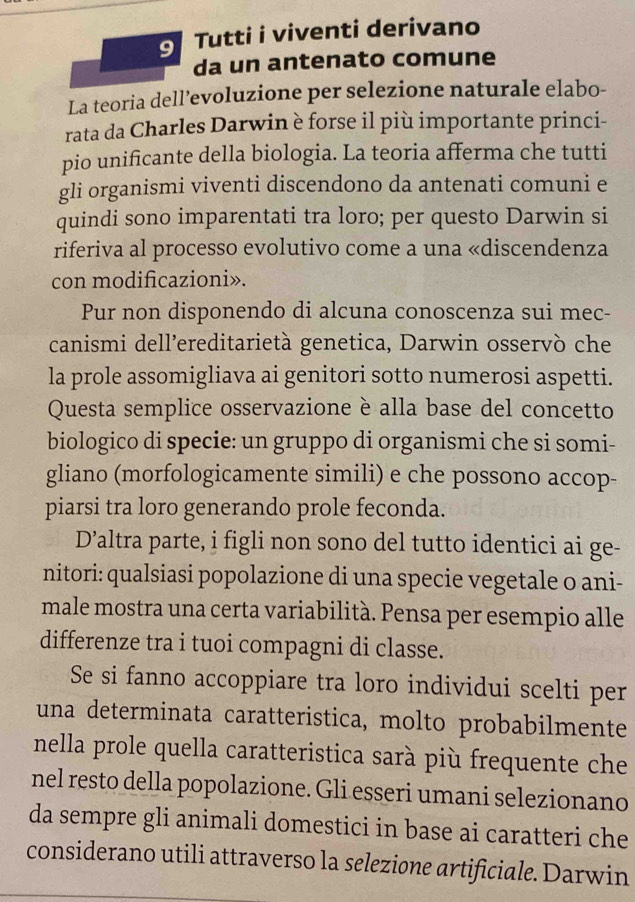 Tutti i viventi derivano 
da un antenato comune 
La teoria dell’evoluzione per selezione naturale elabo- 
rata da Charles Darwin è forse il più importante princi- 
pio unificante della biologia. La teoria afferma che tutti 
gli organismi viventi discendono da antenati comuni e 
quindi sono imparentati tra loro; per questo Darwin si 
riferiva al processo evolutivo come a una «discendenza 
con modificazioni». 
Pur non disponendo di alcuna conoscenza sui mec- 
canismi dell’ereditarietà genetica, Darwin osservò che 
la prole assomigliava ai genitori sotto numerosi aspetti. 
Questa semplice osservazione è alla base del concetto 
biologico di specie: un gruppo di organismi che si somi- 
gliano (morfologicamente simili) e che possono accop- 
piarsi tra loro generando prole feconda. 
D’altra parte, i figli non sono del tutto identici ai ge- 
nitori: qualsiasi popolazione di una specie vegetale o ani- 
male mostra una certa variabilità. Pensa per esempio alle 
differenze tra i tuoi compagni di classe. 
Se si fanno accoppiare tra loro individui scelti per 
una determinata caratteristica, molto probabilmente 
nella prole quella caratteristica sarà più frequente che 
nel resto della popolazione. Gli esseri umani selezionano 
da sempre gli animali domestici in base ai caratteri che 
considerano utili attraverso la selezione artificiale. Darwin