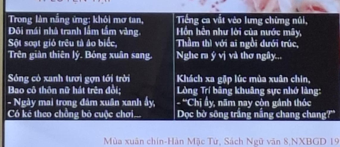 Trong làn nắng ứng: khói mơ tan, Tiếng ca vắt vêo lưng chừng núi, 
Đôi mái nhà tranh lắm tấm vàng, Hồn hền như lời của nước mây, 
Sột soạt gió trêu tả âo biếc, Thầm thì với ai ngồi dưới trúc, 
Trên giàn thiên lý. Bóng xuân sang. Nghe ru ý vị và thơ ngây... 
Sông có xanh tươi gợn tới trời Khách xa gặp lúc mùa xuân chin, 
Bao cô thôn nữ hát trên đồi; Lòng Trí bãng khuâng sực nhớ làng: 
- Ngày mai trong đâm xuân xanh ấy, - 'Chị ấy, năm nay còn gánh thóc 
Có kē theo chồng bỏ cuộc chơi Dọc bờ sông trắng nắng chang chang?' 
Mùa xuân chín-Hàn Mặc Tử, Sách Ngữ văn 8,NXBGD 19