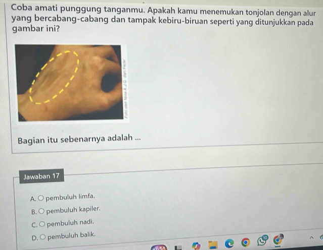 Coba amati punggung tanganmu. Apakah kamu menemukan tonjolan dengan alur
yang bercabang-cabang dan tampak kebiru-biruan seperti yang ditunjukkan pada
gambar ini?
Bagian itu sebenarnya adalah ...
Jawaban 17
A. O pembuluh limfa.
B. O pembuluh kapiler.
C. O pembuluh nadi.
D. ○ pembuluh balik.