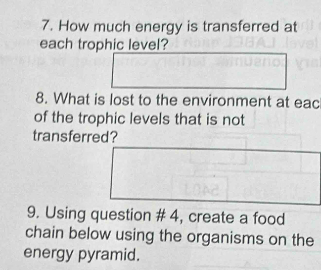 How much energy is transferred at 
each trophic level? 
8. What is lost to the environment at eac 
of the trophic levels that is not 
transferred? 
9. Using question # 4, create a food 
chain below using the organisms on the 
energy pyramid.