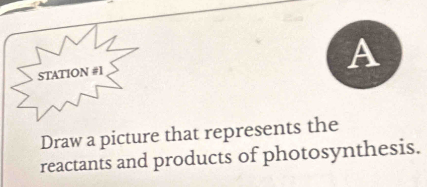 STATION #1 
A 
Draw a picture that represents the 
reactants and products of photosynthesis.