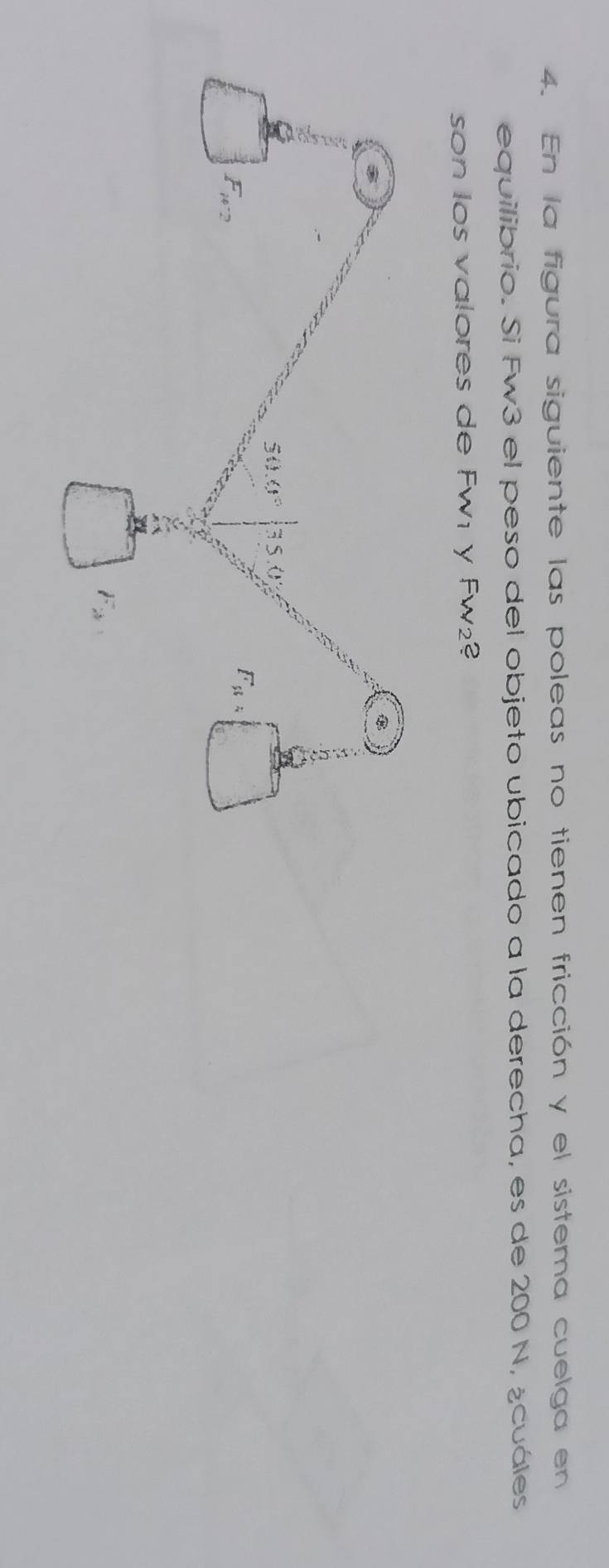 En la figura siguiente las poleas no tienen fricción y el sistema cuelga en
equilibrio. Si Fw3 el peso del objeto ubicado a la derecha, es de 200 N, ¿cuáles
son los valores de Fw₁ y Fw₂?