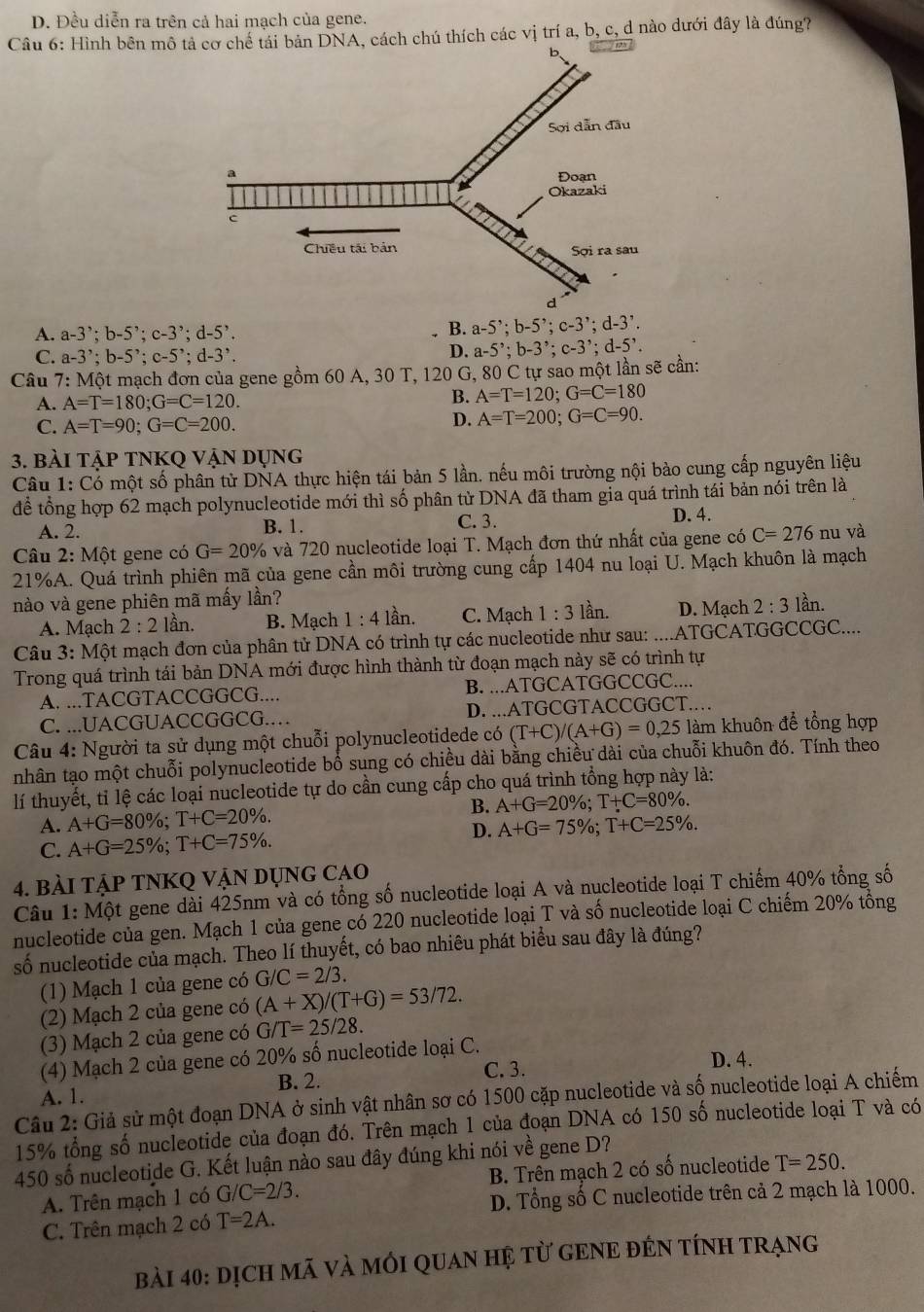 D. Đều diễn ra trên cả hai mạch của gene.
Câu 6: Hình bên môchế tái bản DNA, cách chú thích các vị trí a, b, c, d nào dưới đây là đúng?
A. a-3^,;b-5^,;c-3^,;d-5^,.
B. a-5^,;b-5^,;c-3^,;d-3^,.
C. a-3^,;b-5^,;c-5^,;d-3^,.
D. a-5^,;b-3^,;c-3^,;d-5^,.
Câu 7: Một mạch đơn của gene gồm 60 A, 30 T, 120 G, 80 C tự sao một lần sẽ cần:
A. A=T=180;G=C=120.
B. A=T=120;G=C=180
C. A=T=90;G=C=200.
D. A=T=200;G=C=90.
3. bài tập tNKQ vận dụng
Câu 1: Có một số phân từ DNA thực hiện tái bản 5 lần. nếu môi trường nội bào cung cấp nguyên liệu
để tổng hợp 62 mạch polynucleotide mới thì số phân từ DNA đã tham gia quá trình tái bản nói trên là
A. 2. B. 1. C. 3. D. 4.
Câu 2: Một gene có G=20% và 720 nucleotide loại T. Mạch đơn thứ nhất của gene có C=276 nu và
21%A. Quá trình phiên mã của gene cần môi trường cung cấp 1404 nu loại U. Mạch khuôn là mạch
nào và gene phiên mã mấy lần? lần.
A. Mạch 2:21 lần. B. Mạch 1:4 lần. C. Mạch 1:3 lần. D. Mạch 2:3
Câu 3: Một mạch đơn của phân tử DNA có trình tự các nucleotide như sau: ....ATGCATGGCCGC.....
Trong quá trình tái bản DNA mới được hình thành từ đoạn mạch này sẽ có trình tự
A. ...TACGTACCGGCG.... B. ...ATGCATGGCCGC....
C. ...UACGUACCGGCG.… D. ...ATGCGTACCGGCT.…
Câu 4: Người ta sử dụng một chuỗi polynucleotidede có (T+C)/(A+G)=0,25 làm khuôn để tổng hợp
nhân tạo một chuỗi polynucleotide bổ sung có chiều dài bằng chiều dài của chuỗi khuôn đó. Tính theo
lí thuyết, tỉ lệ các loại nucleotide tự do cần cung cấp cho quá trình tổng hợp này là:
B.
A. A+G=80% ;T+C=20% . A+G=20% ;T+C=80% .
C. A+G=25% ;T+C=75% . D. A+G=75% ;T+C=25% .
4. BàI TẠP TNKQ VẠN DỤNG CAO
Câu 1: Một gene dài 425nm và có tổng số nucleotide loại A và nucleotide loại T chiếm 40% tổng số
nucleotide của gen. Mạch 1 của gene có 220 nucleotide loại T và số nucleotide loại C chiếm 20% tổng
số nucleotide của mạch. Theo lí thuyết, có bao nhiêu phát biểu sau đây là đúng?
(1) Mạch 1 của gene có G/C=2/3.
(2) Mạch 2 của gene có (A+X)/(T+G)=53/72.
(3) Mạch 2 của gene có G/T=25/28.
(4) Mạch 2 của gene có 20% số nucleotide loại C.
C. 3.
A. 1. B. 2. D. 4.
Câu 2: Giả sử một đoạn DNA ở sinh vật nhân sơ có 1500 cặp nucleotide và số nucleotide loại A chiếm
15% tổng số nucleotide của đoạn đó. Trên mạch 1 của đoạn DNA có 150 số nucleotide loại T và có
450 số nucleotide G. Kết luận nào sau đây đúng khi nói về gene D?
A. Trên mạch 1 có G/C=2/3. B. Trên mạch 2 có số nucleotide T=250.
D. Tổng số C nucleotide trên cả 2 mạch là 1000.
C. Trên mạch 2 có T=2A.
bài 40: dịcH mã và mói qUaN Hệ từ GENE đÊN tÍNH Trạng