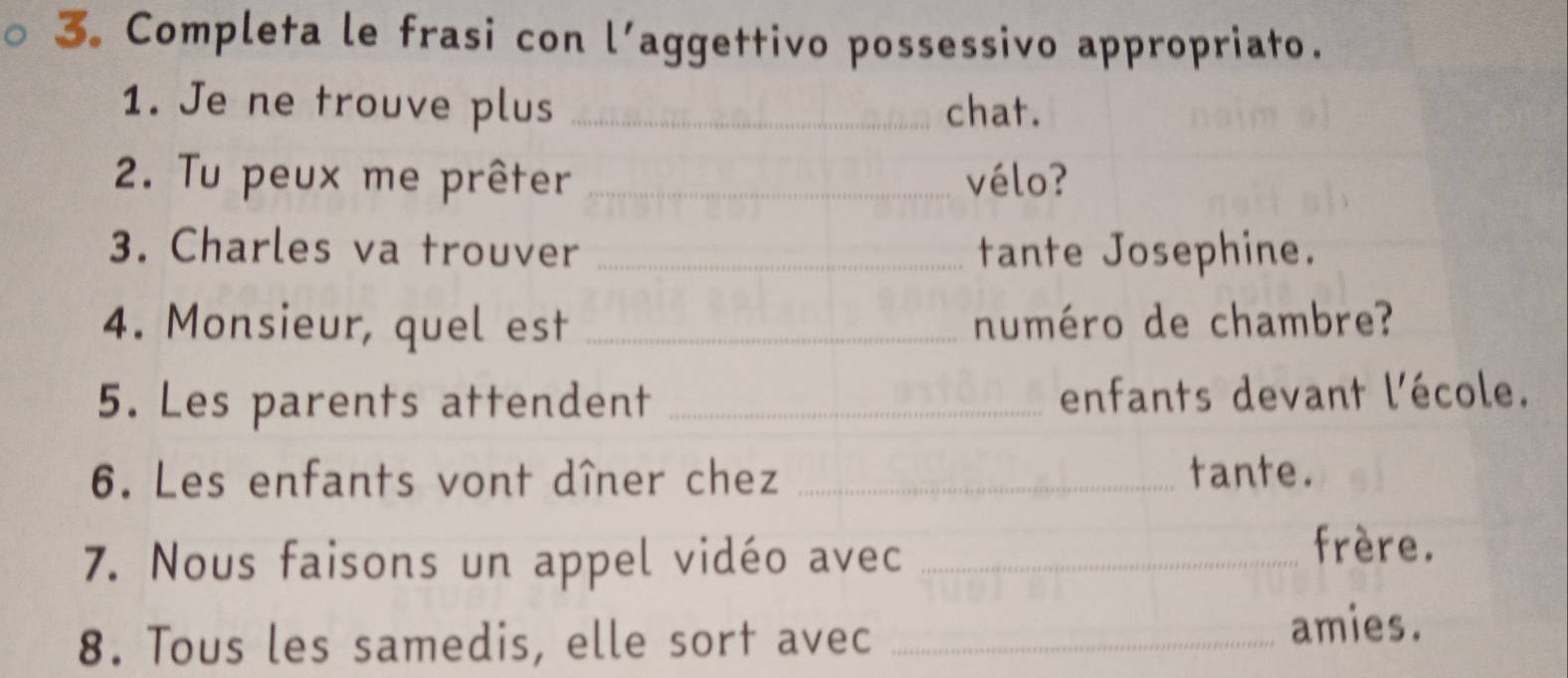 Completa le frasi con l’aggettivo possessivo appropriato. 
1. Je ne trouve plus _chat. 
2. Tu peux me prêter _vélo? 
3. Charles va trouver _tante Josephine. 
4. Monsieur, quel est _numéro de chambre? 
5. Les parents attendent _enfants devant l'école. 
6. Les enfants vont dîner chez _tante. 
7. Nous faisons un appel vidéo avec_ 
frère. 
8. Tous les samedis, elle sort avec _amies.