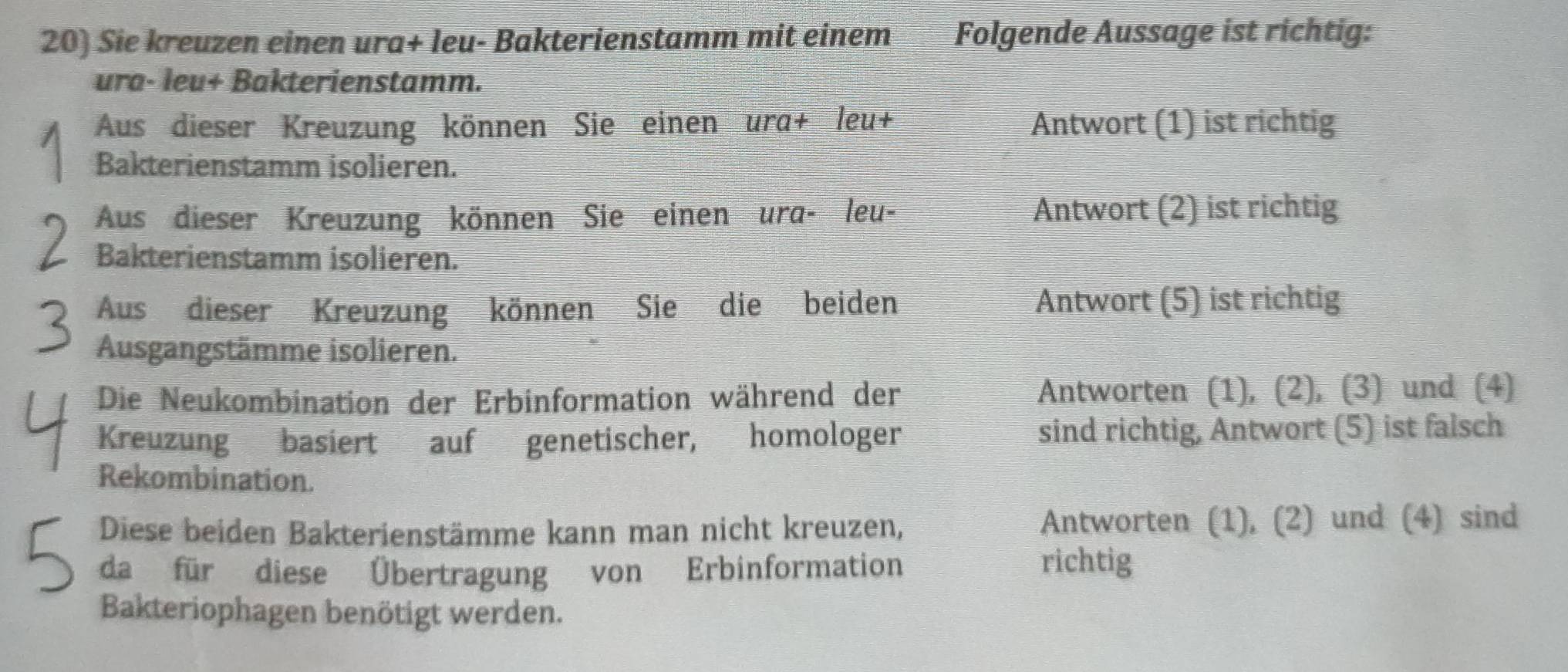 Sie kreuzen einen ura+ leu- Bakterienstamm mit einem Folgende Aussage ist richtig: 
ura- leu+ Bakterienstamm. 
Aus dieser Kreuzung können Sie einen ura+ leu+ Antwort (1) ist richtig 
Bakterienstamm isolieren. 
Aus dieser Kreuzung können Sie einen ura- leu- Antwort (2) ist richtig 
Bakterienstamm isolieren. 
Aus dieser Kreuzung können Sie die beiden Antwort (5) ist richtig 
Ausgangstämme isolieren. 
Die Neukombination der Erbinformation während der Antworten (1), (2), (3) und (4) 
Kreuzung basiert auf genetischer, homologer sind richtig, Antwort (5) ist falsch 
Rekombination. 
Diese beiden Bakterienstämme kann man nicht kreuzen, Antworten (1), (2) und (4) sind 
da für diese Übertragung von Erbinformation richtig 
Bakteriophagen benötigt werden.