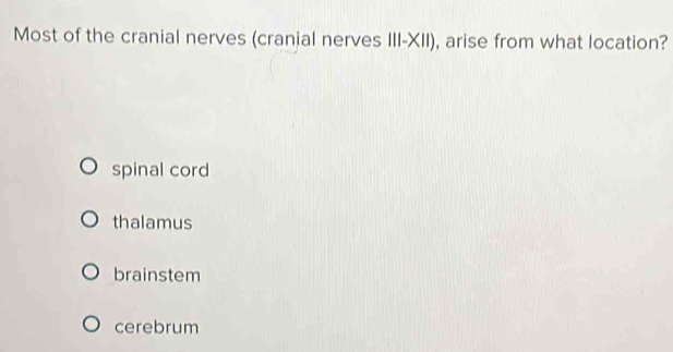 Most of the cranial nerves (cranial nerves 111-* 11) , arise from what location?
spinal cord
thalamus
brainstem
cerebrum