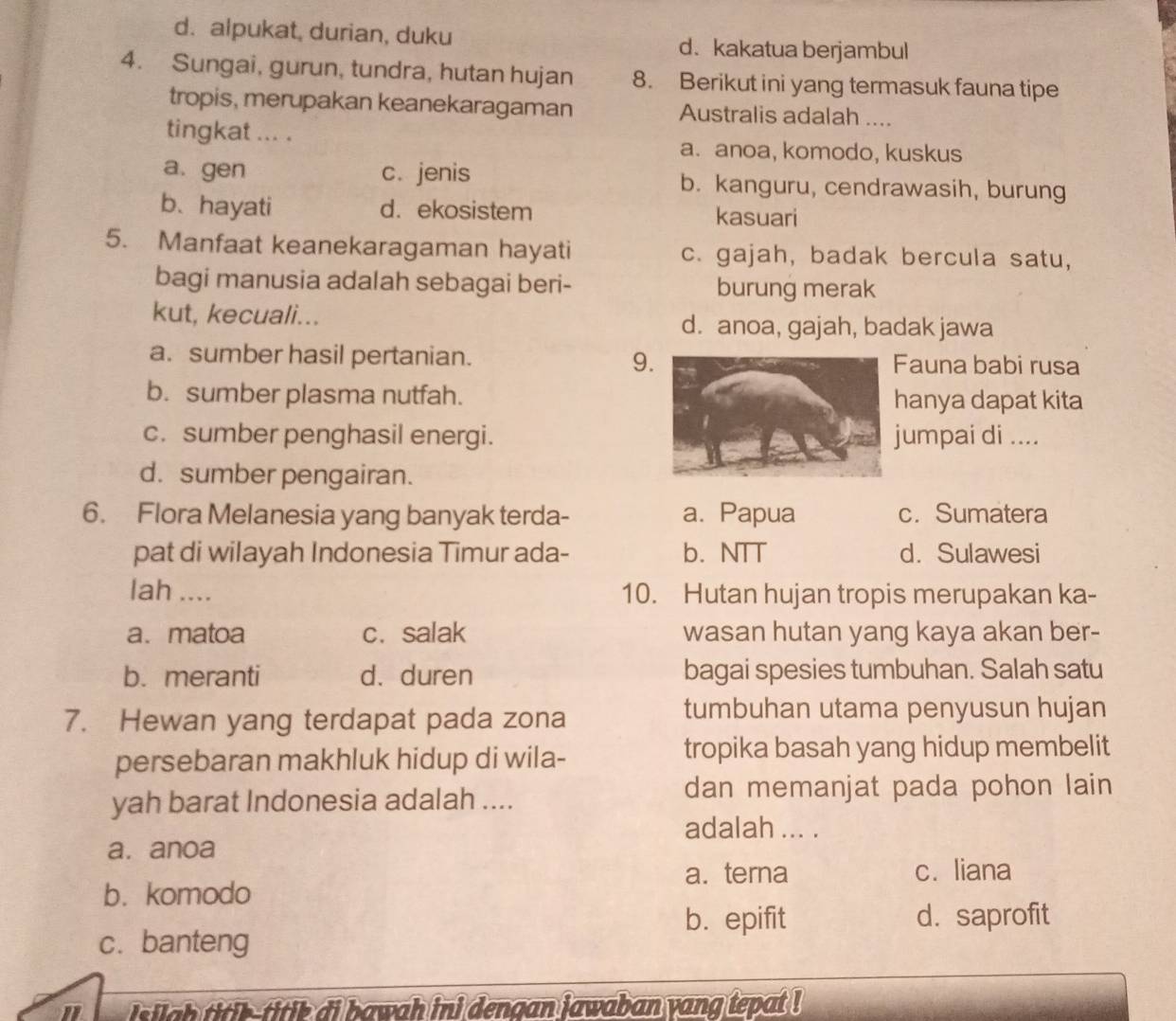 d.alpukat, durian, duku
d. kakatua berjambul
4. Sungai, gurun, tundra, hutan hujan 8. Berikut ini yang termasuk fauna tipe
tropis, merupakan keanekaragaman Australis adalah ....
tingkat ... .
a. anoa, komodo, kuskus
a. gen c. jenis b. kanguru, cendrawasih, burung
b、hayati d. ekosistem kasuari
5. Manfaat keanekaragaman hayati c. gajah, badak bercula satu,
bagi manusia adalah sebagai beri- burung merak
kut, kecuali... d. anoa, gajah, badak jawa
a. sumber hasil pertanian. 9Fauna babi rusa
b. sumber plasma nutfah.hanya dapat kita
c. sumber penghasil energi.umpai di ....
d. sumber pengairan.
6. Flora Melanesia yang banyak terda- a. Papua c. Sumatera
pat di wilayah Indonesia Timur ada- b. NTT d. Sulawesi
lah .... 10. Hutan hujan tropis merupakan ka-
a. matoa c. salak wasan hutan yang kaya akan ber-
b. meranti d. duren bagai spesies tumbuhan. Salah satu
7. Hewan yang terdapat pada zona
tumbuhan utama penyusun hujan
persebaran makhluk hidup di wila- tropika basah yang hidup membelit
yah barat Indonesia adalah ....
dan memanjat pada pohon lain
adalah ... .
a. anoa
a. terna c. liana
b. komodo
b. epifit d. saprofit
c. banteng
i silgh titik-titik di bawah ini dengan jawaban yang tepat !