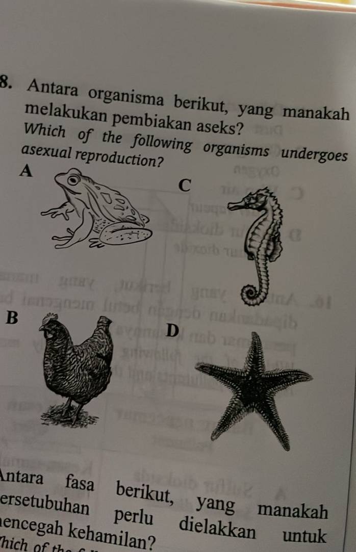 Antara organisma berikut, yang manakah
melakukan pembiakan aseks?
Which of the following organisms undergoes
asexual reproduction?
A
C
B
D
Antara fasa berikut, yang manakah
ersetubuhan perlu dielakkan untuk
lencegah kehamilan?
Thich of the