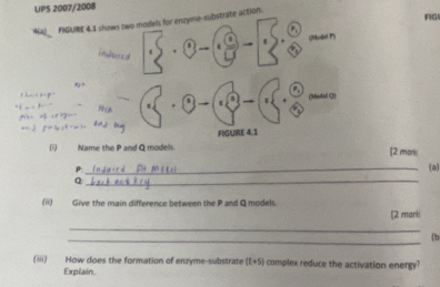 UPS 2007/2008 
Wa) FIGURE 4.1 shows two models for enzyme-substrate action. FIG 
. (Model P) 
imoltercal

p h s app . (Mndel Q) 
a B 
. 1 . 
. . , 
FIGUIRE 4.1 
(i) Name the P and Q models. [2 moris 
_(a) 
_ Q
(ii) Give the main difference between the P and Q models. 
[2 mark 
_ 
_b 
(iii) How does the formation of enzyme-substrate [E+S] complex reduce the activation energy? 
Explain.