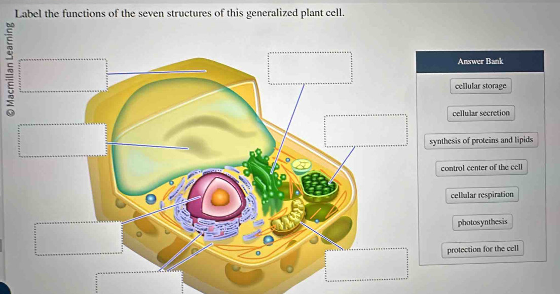 Solved: Label the functions of the seven structures of this generalized ...