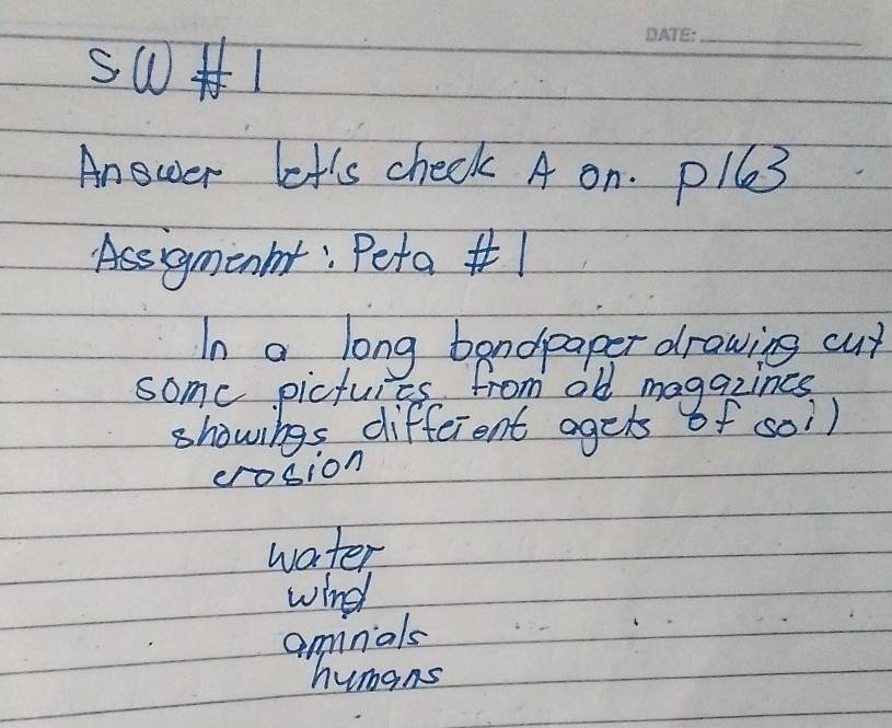 w+ 1
_
Anewer let's check A on. plle3
Assgminmt: Peta |
In a long bandpaper drawing cut
some pictures from old magazincs.
showings different agets of soi)
crosion
water
wind
aminals
humans