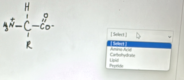 beginarrayr H 4N-C-Co- Rendarray
[ Select ]
[ Select]
Amino Acid
Carbohydrate
Lip/id
Peptide