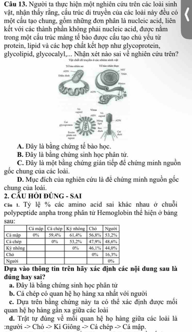 Người ta thực hiện một nghiên cứu trên các loài sinh
vật, nhận thấy rằng, cấu trúc di truyền của các loài này đều có
một cấu tạo chung, gồm những đơn phân là nucleic acid, liên
kết với các thành phần không phải nucleic acid, được nằm
trong một cấu trúc màng tế bào được cấu tạo chủ yếu từ
protein, lipid và các hợp chất kết hợp như glycoprotein,
glycolipid, glycocalyl,... Nhận xét nào sai về nghiên cứu trên?
Vật chất đi truyền ở các nhóm sinh vật
A. Đây là bằng chứng tế bào học.
B. Đây là bằng chứng sinh học phân tử.
C. Đây là một bằng chứng gián tiếp để chứng minh nguồn
gốc chung của các loài.
D. Mục đích của nghiên cứu là để chứng minh nguồn gốc
chung của loài.
2. CÂU HÕI ĐÚNG - SAI
Cầu 1. Tỷ lệ % các amino acid sai khác nhau ở chuỗi
polypeptide anpha trong phân tử Hemoglobin thể hiện ở bảng
sau:
Dựa vào thông tin trên hãy xác định các nội dung sau là
đúng hay sai?
a. Đây là bằng chứng sinh học phân tử
b. Cá chép có quan hệ họ hàng xa nhất với người
c. Dựa trên bằng chứng này ta có thể xác định được mối
quan hệ họ hàng gần xa giữa các loài
d. Trật tự đúng về mối quan hệ họ hàng giữa các loài là
:người -> Chó -> Kì Giông -> Cá chép -> Cá mập.