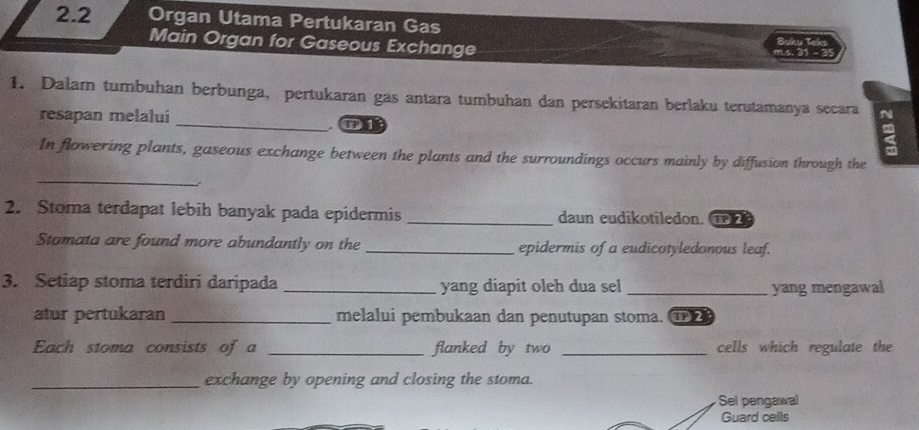 2.2 Organ Utama Pertukaran Gas Buku Tekı 
Main Organ for Gaseous Exchange m.s. 31 - 3 
1. Dalarn tumbuhan berbunga, pertukaran gas antara tumbuhan dan persekitaran berlaku terutamanya secara 9
resapan melalui 
①1 
_ 
In flowering plants, gaseous exchange between the plants and the surroundings occurs mainly by diffusion through the 
2. Stoma terdapat lebih banyak pada epidermis _daun eudikotiledon. ① 
Stomata are found more abundantly on the _epidermis of a eudicotyledonous leaf. 
3. Setiap stoma terdiri daripada _yang diapit oleh dua sel _yang mengawal 
atur pertukaran _melalui pembukaan dan penutupan stoma. ⑩2 
Each stoma consists of a _flanked by two _cells which regulate the 
_exchange by opening and closing the stoma. 
Sel pengawal 
Guard cells