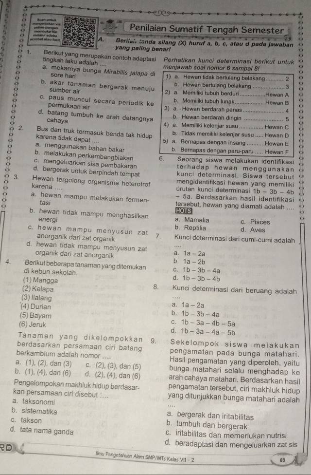 Hanger jluan via
.  c nline dergan    r Penilaian Sumatif Tengah Semester
robal stau fowt A. Berilah tanda silang (X) huruf a, b, c, atau d pada jawaban
yang paling benar!
1. Berikut yang merupakan contoh adaptasi Perhatikan kunci determinasi berikut untuk
tingkah laku adalah ... menjawab soal nomor 6 sampai 8!
a. mekamya bunga Mirabilis jalapa di 1) a. Hewan tidak bertulang belakang............ 2
sore hari
b. Hewan bertulang belakang ...........3
b. akar tanaman bergerak menuju 2) a. Memiliki tubuh berduri _........Hewan A
sumber air
c. paus muncul secara periodik ke b. Memiliki tubuh lunak           Hewan B
permukaan air 3) a. Hewan berdarah panas . 4
d. batang tumbuh ke arah datangnya b. Hewan berdarah dingin    5 o
cahaya 4) a. Memiliki kelenjar susu ............... Hewan C
2. Bus dan truk termasuk benda tak hidup b. Tidak memiliki kelenjar susu ..... Hewan D o
karena tidak dapat ....
5) a. Berapas dengan insang ...........Hewan E
a. menggunakan bahan bakar b. Bernapas dengan paru-paru ..... Hewan F
b. melakukan perkembangbiakan 6. Seorang siswa melakukan identifikasi
o
c. mengeluarkan sisa pembakaran terhadap hewan menggunakan o
251 d. bergerak untuk berpindah tempat kunci determinasi, Siswa tersebut
mengidentifikasi hewan yang memiliki
3. Hewan tergolong organisme heterotrof urutan kunci determinasi 1b-3b-4b
karena ....
- 5a. Berdasarkan hasil identifikasi D
a. hewan mampu melakukan fermen- tersebut, hewan yang diamati adalah ....
tasi
HOTS
b. hewan tidak mampu menghasilkan a. Mamalia c. Pisces
energi
b. Reptilia d. Aves
c. hewan mampu menyusun zat 7. Kunci determinasi dari cumi-cumi adalah
anorganik dari zat organik
d. hewan tidak mampu menyusun zat a. 1a-2a
organik dari zat anorganik
b. 1a-2b
4. Berikut beberapa tanaman yang ditemukan C. 1b-3b-4a
di kebun sekolah. d. 1b-3b-4b
(1) Mangga Kunci determinasi dari beruang adalah
(2) Kelapa
8.
(3) llalang
. .
a. 1a-2a
(4) Durian b. 1b-3b-4a
(5) Bayam C. 1b-3a-4b-5a
(6) Jeruk
d. 1b-3a-4a-5b
Tanaman yang dikelompokkan 9. Sekelompok siswa melakukan
berdasarkan persamaan ciri batang pengamatan pada bunga matahari.
berkambium adalah nomor .... Hasil pengamatan yang diperoleh, yaitu
a. (1), (2), dan (3) c. (2), (3), dan (5) bunga matahari selalu menghadap ke
b. (1), (4), dan (6) d. (2), (4), dan (6) arah cahaya matahari. Berdasarkan hasil
Pengelompokan makhluk hidup berdasar- pengamatan tersebut, ciri makhluk hidup
kan persamaan ciri disebut .... yang ditunjukkan bunga matahari adalah
a. taksonomi
a. bergerak dan iritabilitas
b. sistematika b. tumbuh dan bergerak
c. takson
d. tata nama ganda c. iritabilitas dan memerlukan nutrisi
d. beradaptasi dan mengeluarkan zat sis
RD limu Pengetahuan Alam SMP/MTs Kelas VII - 2
63