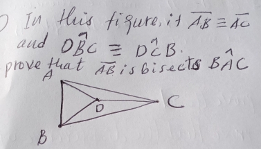 In this figure, it overline ABequiv overline AC
and Owidehat BCequiv Dwidehat CB. 
prove that overline AB is bisects Bwidehat AC