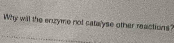 Why will the enzyme not catalyse other reactions?