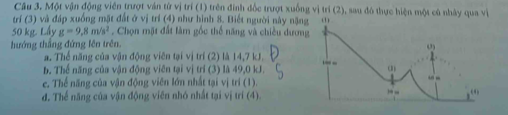 Một vận động viên trượt ván từ vị trí (1) trên đinh đốc trượt xuống vị trí (2), sau đó thực hiện một củ nhây qua vị
trí (3) và đáp xuống mặt đất ở vị trí (4) như hình 8. Biết người này nặng
50 kg. Lấy g=9,8m/s^2. Chọn mặt đất làm gốc thế năng và chiều dương
hướng thắng đứng lên trên,
a. Thể năng của vận động viên tại vị trí (2) là 14,7 kJ. 
b. Thế năng của vận động viên tại vị trí (3) là 49,0 kJ.
e. Thể năng của vận động viên lớn nhất tại vị trí (1).
d. Thế năng của vận động viên nhó nhất tại vị trí (4).