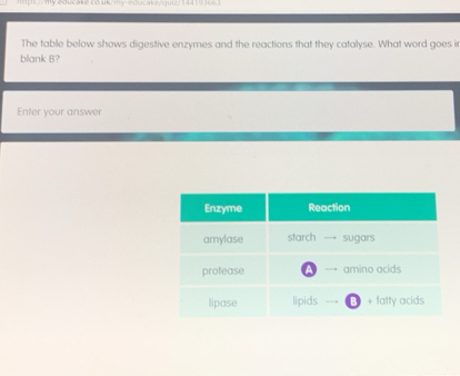 The table below shows digestive enzymes and the reactions that they catalyse. What word goes i 
blank B? 
Enter your answer