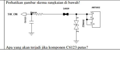 Perhatikan gambar skema rangkaian di bawah! 
Apa yang akan terjadi jika komponen C6123 putus?