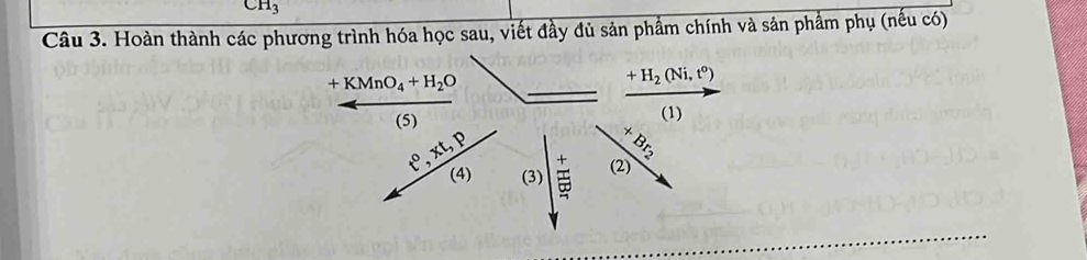 CH_3
Câu 3. Hoàn thành các phương trình hóa học sau, viết đầy đủ sản phẩm chính và sản phẩm phụ (nếu có)
+KMnO_4+H_2O
+H_2(Ni,t^o)
(5) (1)
xt, p 
+ Br 
(4) (3) (2)