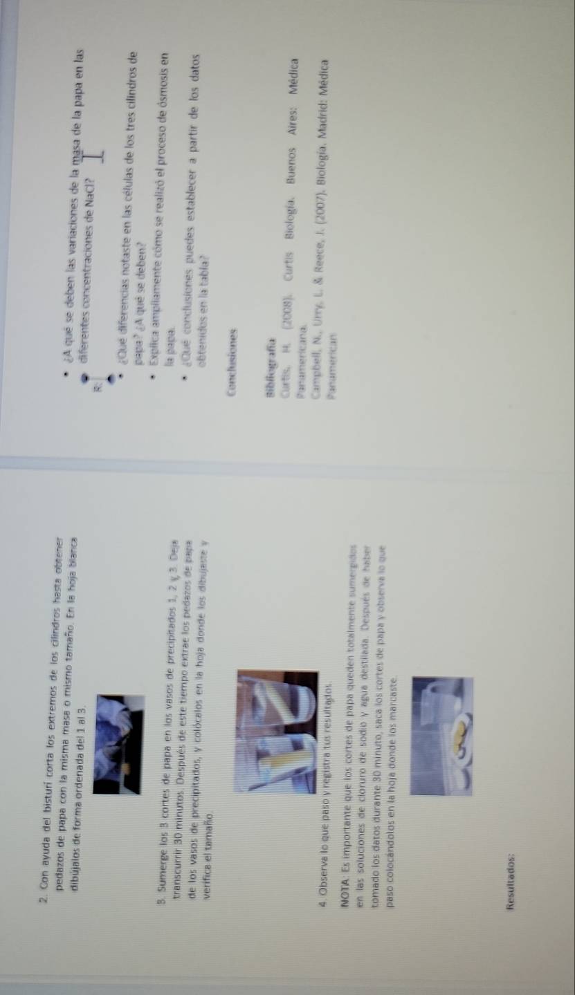 Con ayuda del bisturí corta los extremos de los cilindros hasta obtener ¿A qué se deben las variaciones de la masa de la papa en las 
pedazos de papa con la misma masa o mismo tamaño. En la hoja blanca diferentes concentraciones de NaCl? 
dibújalos de forma ordenada del 1 al 3. 
¿ Qué diferencias notaste en las células de los tres cilindros de 
papa? ¿A qué se deben? 
Explica ampllamente cómo se realizó el proceso de ósmosis en 
la papa. 
3. Sumerge los 3 cortes de papa en los vasos de precipitados 1, 2 ζ 3. Deja ¿Que conclusiones puedes establecer a partir de los datos 
transcurrir 30 minutos. Después de este tiempo extrae los pedazos de papa 
de los vasos de precipitados, y colócalos en la hoja donde los dibujaste y obtenidos en la tabla? 
verifica el tamaño Conclusiones 
Bibliografía 
Curtis. H. (2008). Curtis Biología. Buenos Aires: Médica 
Paramericana. 
Campbell, N., Urry, L. & Reece, J. (2007). Biología. Madrid: Médica 
4. Observa lo que paso y registra tus resultados Panamerican 
NOTA: Es importante que los cortes de papa queden totalmente sumergidos 
en las soluciones de cloruro de sodio y agua destilada. Después de haber 
tomado los datos durante 30 minuto, saca los cortes de papa y observa lo que 
paso colocándolos en la hoja donde los marcaste. 
Resultados: