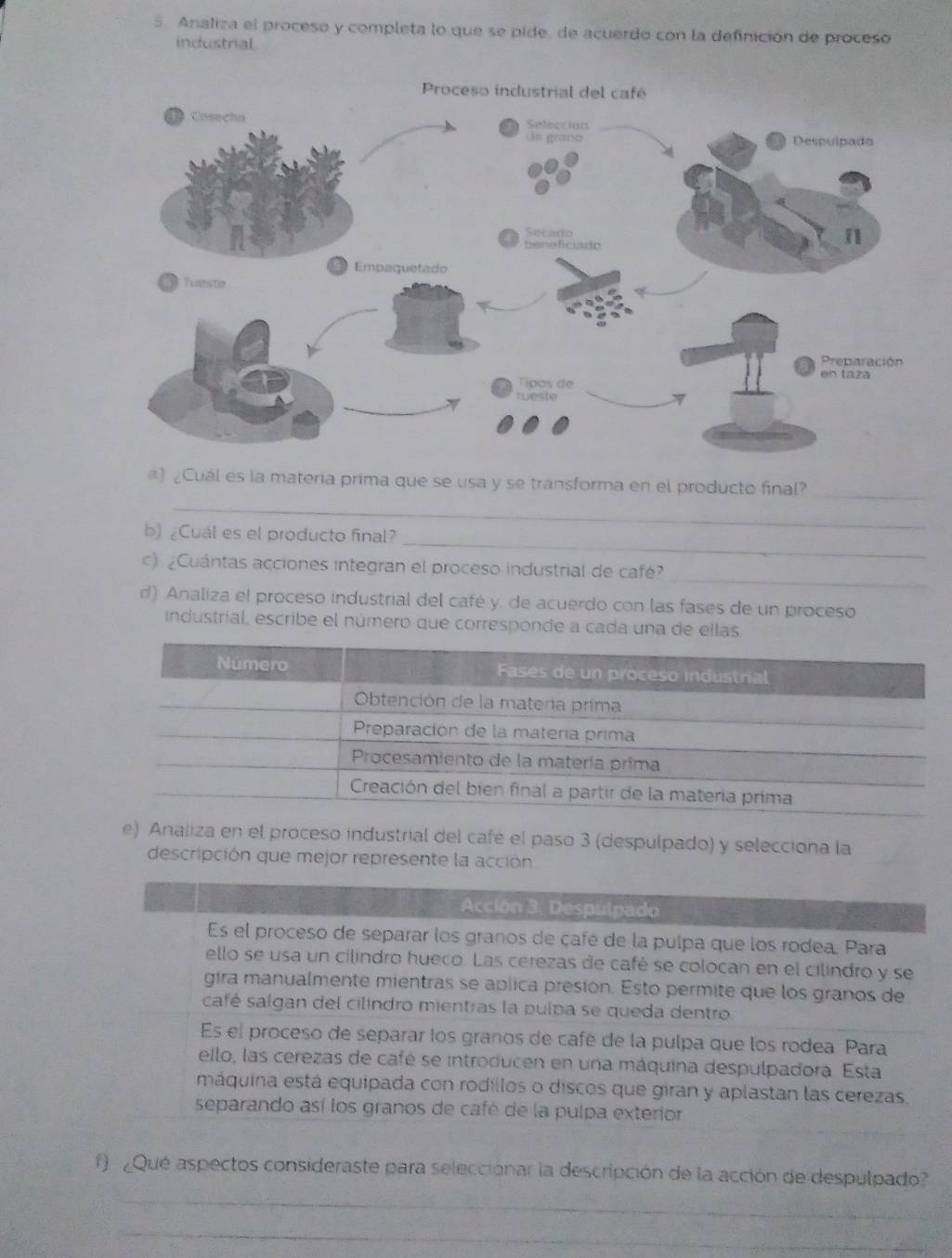 Analiza el proceso y completa lo que se pide, de acuerdo con la definición de proceso 
industrial 
a) ¿Cuál es la materia prima que se usa y se transforma en el producto final?_ 
_ 
_ 
b) ¿Cuál es el producto final? 
_ 
c) ¿Cuántas acciones integran el proceso industrial de café? 
d) Analiza el proceso industrial del café y. de acuerdo con las fases de un proceso 
industrial, escribe el número que corresponde a cada una de ellas 
e) Analiza en el proceso industrial del café el paso 3 (despulpado) y selecciona la 
descripción que mejor represente la acción 
Acción 3. Despulpado 
Es el proceso de separar los granos de çafé de la pulpa que los rodea Para 
ello se usa un cilindro hueco. Las cerezas de café se colocan en el cilindro y se 
gira manualmente mientras se aplica presión. Esto permite que los granos de 
café salgan del cilíndro mientras la pulpa se queda dentro. 
Es el proceso de separar los granos de café de la pulpa que los rodea Para 
ello, las cerezas de café se introducen en una máquina despulpadora. Esta 
máquina está equipada con rodillos o discos que giran y aplastan las cerezas. 
separando así los granos de café de la pulpa exterior 
f) ¿Qué aspectos consideraste para selecciónar la descripción de la acción de despulpado? 
_ 
_