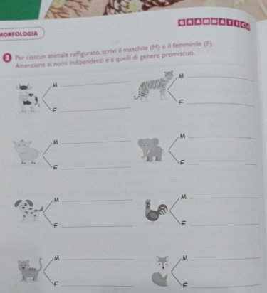 MORFOLOGIA 
Per clascun animale raffigurato, scrivi il maschile (M) e il femminile (F). 
Attenzione ai nomi indipendenti e a quelli di genere promiscuo. 
M_ 
. M
_ 
_ 
_F 
F 
_ 
, M_ 
M 
_F 
F_ 
,M_ 
M_ 
_F 
_F 
_M 
M_ 
_F 
_F