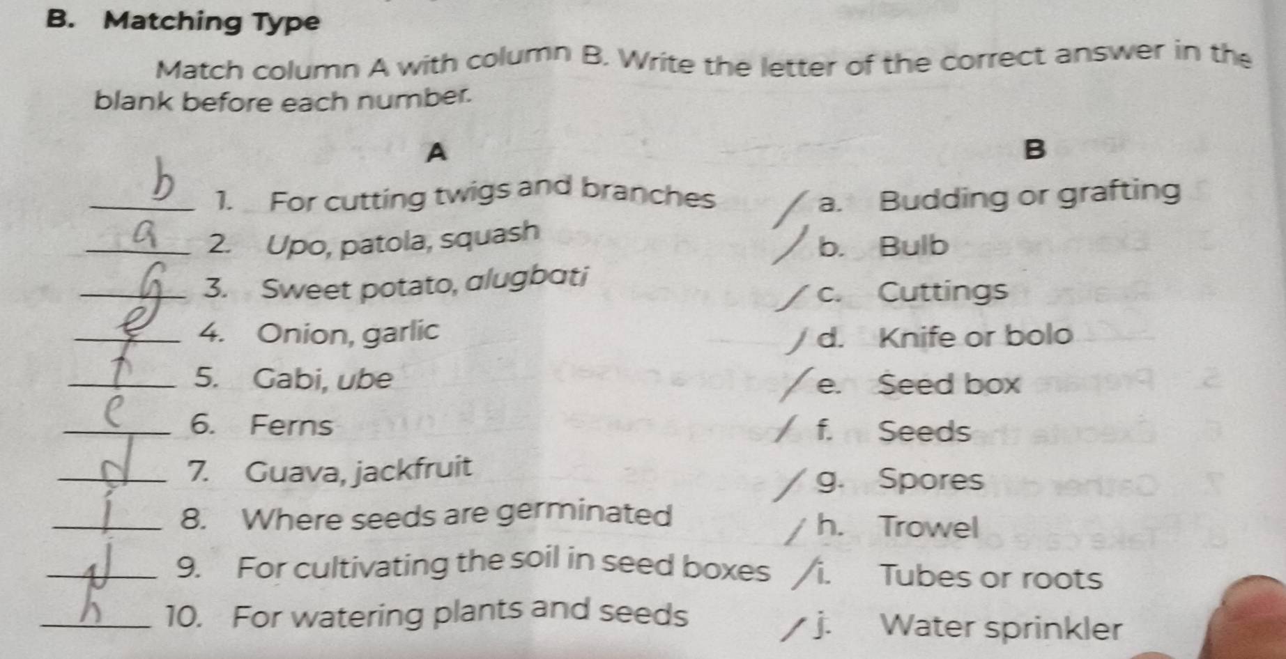 Matching Type
Match column A with column B. Write the letter of the correct answer in the
blank before each number.
A
B
_1. For cutting twigs and branches a. Budding or grafting
_2. Upo, patola, squash
b. Bulb
_3. Sweet potato, alugbati
c. Cuttings
_4. Onion, garlic
/ d. Knife or bolo
_5. Gabi, ube e. Seed box
_6. Ferns f. Seeds
_7. Guava, jackfruit
a g. Spores
_8. Where seeds are germinated
h. Trowel
_9. For cultivating the soil in seed boxes /i. Tubes or roots
_10. For watering plants and seeds Water sprinkler
j