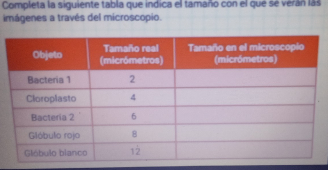 Completa la siguiente tabla que indica el tamaño con el que se verán las 
imágenes a través del microscopio.