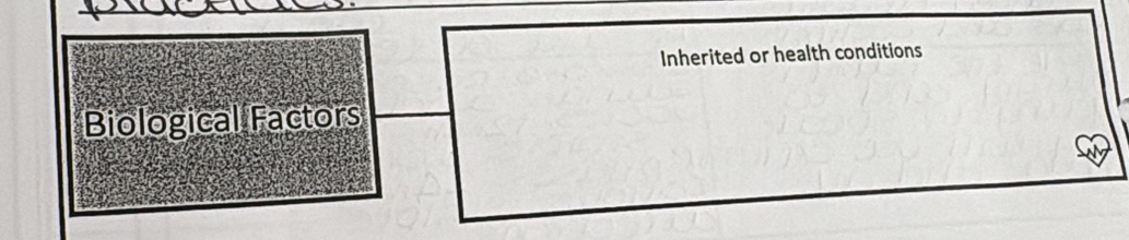 Inherited or health conditions 
Biological Factors