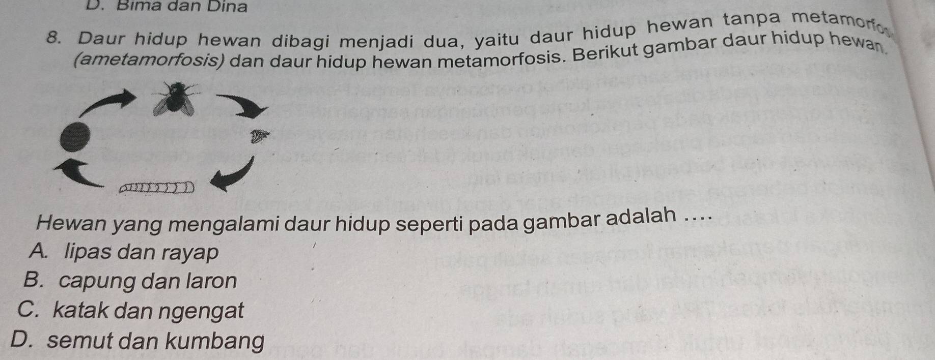 Bima dan Dina
8. Daur hidup hewan dibagi menjadi dua, yaitu daur hidup hewan tanpa metamor
(ametamorfosis) dan daur hidup hewan metamorfosis. Berikut gambar daur hidup hewar
Hewan yang mengalami daur hidup seperti pada gambar adalah ...
A. lipas dan rayap
B. capung dan laron
C. katak dan ngengat
D. semut dan kumbang