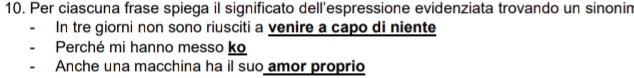 Per ciascuna frase spiega il significato dell'espressione evidenziata trovando un sinonin 
In tre giorni non sono riusciti a venire a capo di niente 
Perché mi hanno messo ko 
Anche una macchina ha il suo amor proprio