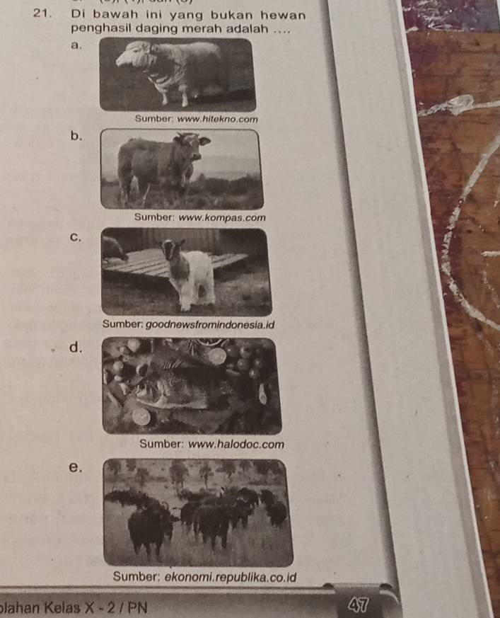 Di bawah ini yang bukan hewan
penghasil daging merah adalah ....
a.
Sumber: www.hitekno.com
b.
Sumber: www.kompas.com
C.
Sumber: goodnewsfromindonesia.id
d.
Sumber: www.halodoc.com
e.
Sumber: ekonomi.republika.co.id
Jahan Kelas X-2/PN
47