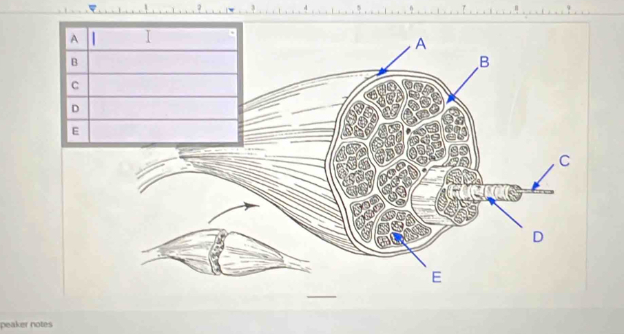 peaker notes