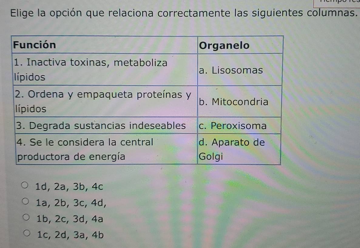 Elige la opción que relaciona correctamente las siguientes columnas.
1d, 2a, 3b, 4c
1a, 2b, 3c, 4d,
1b, 2c, 3d, 4a
1c, 2d, 3a, 4b