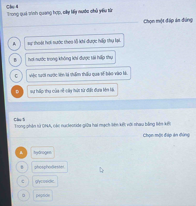 Trong quá trình quang hợp, cây lấy nước chủ yếu từ
Chọn một đáp án đúng
A sự thoát hơi nước theo lỗ khí được hấp thụ lại.
B hơi nước trong không khí được tái hấp thụ
C việc tưới nước lên lá thấm thấu qua tế bào vào lá.
D sự hấp thụ của rễ cây hút từ đất đưa lên lá.
Câu 5
Trong phân tử DNA, các nucleotide giữa hai mạch liên kết với nhau bằng liên kết
Chọn một đáp án đúng
A hydrogen
B phosphodiester.
C glycosidic.
D peptide