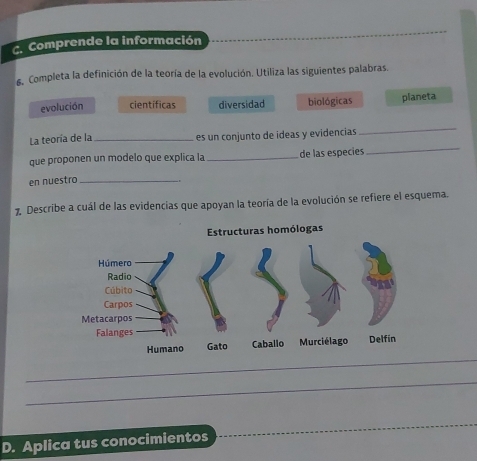 Comprende la información
6. Completa la definición de la teoría de la evolución. Utiliza las siguientes palabras.
evolución cientificas diversidad biológicas planeta
La teoría de la _es un conjunto de ideas y evidencias
_
que proponen un modelo que explica la _de las especies
_
en nuestro_
7 Describe a cuál de las evidencias que apoyan la teoría de la evolución se refiere el esquema.
_
D. Aplica tus conocimientos