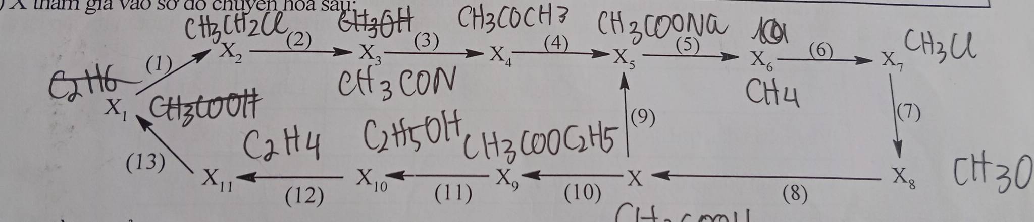 tham gia vào sở dó chuyen hoa sau; 
(1) X_2xrightarrow (2)X_3xrightarrow (3)X_4xrightarrow (4)X_5_ (5) 1
X_6-
(6) x
X_1
(9) 

(13)
X_11  (0)/(12) X_(10)^- (10)
X
(8)