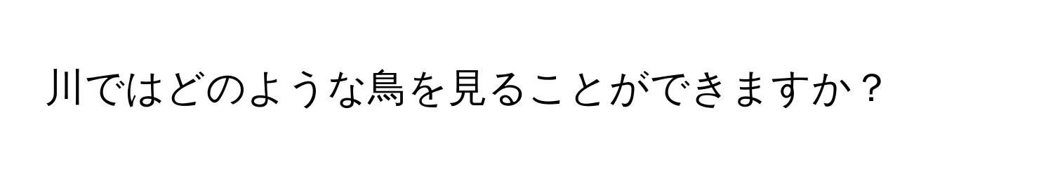 川ではどのような鳥を見ることができますか？