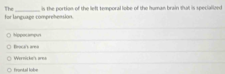 The_ is the portion of the left temporal lobe of the human brain that is specialized
for language comprehension.
hippocampus
Broca's area
Wernicke's area
frontal lobe