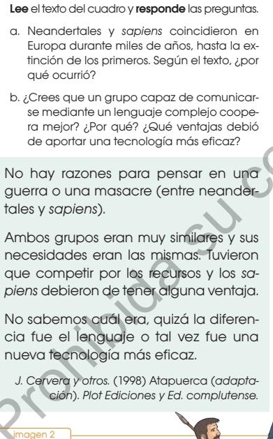 Lee el texto del cuadro y responde las preguntas.
a. Neandertales y sapiens coincidieron en
Europa durante miles de años, hasta la ex-
tinción de los primeros. Según el texto, ¿por
qué ocurrió?
b. ¿Crees que un grupo capaz de comunicar-
se mediante un lenguaje complejo coope-
ra mejor? ¿Por qué? ¿Qué ventajas debió
de aportar una tecnología más eficaz?
No hay razones para pensar en una
guerra o una masacre (entre neander-
tales y sapiens).
Ambos grupos eran muy similares y sus
necesidades eran las mismas. Tuvieron
que competir por los recursos y los sa-
piens debieron de tener alguna ventaja.
No sabemos cuál era, quizá la diferen-
cia fue el lenguaje o tal vez fue una
nueva tecnología más eficaz.
J. Cervera y otros. (1998) Atapuerca (adapta-
ción). Plot Ediciones y Ed. complutense.
imagen 2