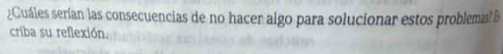 ¿Cuáles serían las consecuencias de no hacer algo para solucionar estos problemas? B 
criba su reflexión.