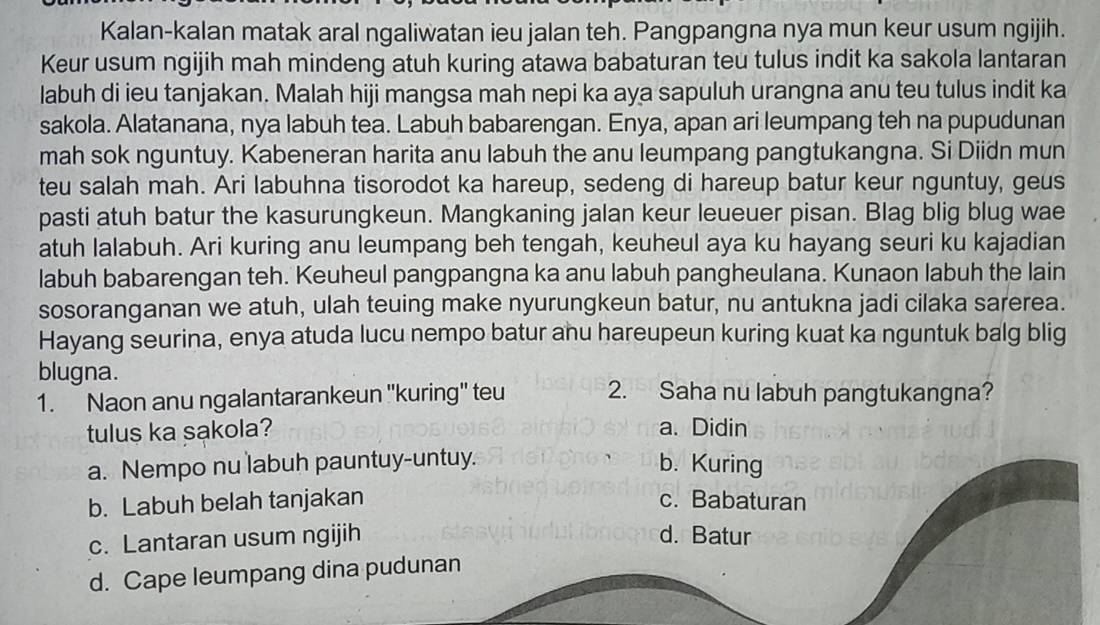 Kalan-kalan matak aral ngaliwatan ieu jalan teh. Pangpangna nya mun keur usum ngijih.
Keur usum ngijih mah mindeng atuh kuring atawa babaturan teu tulus indit ka sakola lantaran
labuh di ieu tanjakan. Malah hiji mangsa mah nepi ka aya sapuluh urangna anu teu tulus indit ka
sakola. Alatanana, nya labuh tea. Labuh babarengan. Enya, apan ari leumpang teh na pupudunan
mah sok nguntuy. Kabeneran harita anu labuh the anu leumpang pangtukangna. Si Diidn mun
teu salah mah. Ari labuhna tisorodot ka hareup, sedeng di hareup batur keur nguntuy, geus
pasti atuh batur the kasurungkeun. Mangkaning jalan keur leueuer pisan. Blag blig blug wae
atuh lalabuh. Ari kuring anu leumpang beh tengah, keuheul aya ku hayang seuri ku kajadian
labuh babarengan teh. Keuheul pangpangna ka anu labuh pangheulana. Kunaon labuh the lain
sosoranganan we atuh, ulah teuing make nyurungkeun batur, nu antukna jadi cilaka sarerea.
Hayang seurina, enya atuda lucu nempo batur anu hareupeun kuring kuat ka nguntuk balg blig
blugna.
1. Naon anu ngalantarankeun ''kuring'' teu 2. Saha nu labuh pangtukangna?
tulus ka sakola? a. Didin
a. Nempo nu labuh pauntuy-untuy. b. Kuring
b. Labuh belah tanjakan c. Babaturan
c. Lantaran usum ngijih d. Batur
d. Cape leumpang dina pudunan