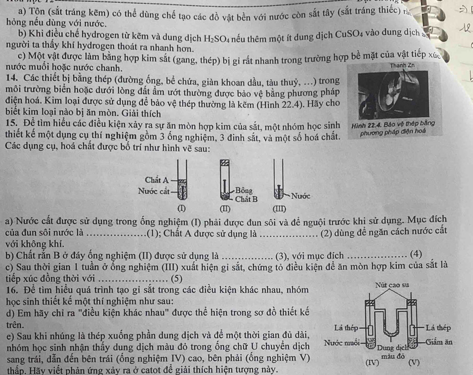 Tộn (sắt tráng kẽm) có thể dùng chế tạo các đồ vật bền với nước còn sắt tây (sắt tráng thiếc) rà
hỏng nếu dùng với nước.
b) Khi điều chế hydrogen từ kẽm và dung dịch H_2SO_4 thếu thêm một ít dung dịch CuSO4 vào dung dịch as
người ta thấy khí hydrogen thoát ra nhanh hơn.
c) Một vật được làm bằng hợp kim sắt (gang, thép) bị gi rất nhanh trong trường hợp bề mặt của vật tiếp xúc
nước muồi hoặc nước chanh. 
14. Các thiết bị bằng thép (đường ống, bể chứa, giàn khoan dầu, tàu thuỷ, ...) trong
môi trường biển hoặc dưới lòng đất ẩm ướt thường được bảo vệ bằng phương pháp
điện hoá. Kim loại được sử dụng để bảo vệ thép thường là kẽm (Hình 22.4). Hãy cho
biết kim loại nào bị ăn mòn. Giải thích
15. Để tìm hiểu các điều kiện xảy ra sự ăn mòn hợp kim của sắt, một nhóm học sinh
thiết kế một dụng cụ thí nghiệm gồm 3 ống nghiệm, 3 đinh sắt, và một số hoá chất.
Các dụng cụ, hoá chất được bố trí như hình vẽ sau:
a) Nước cất được sử dụng trong ống nghiệm (I) phải được đun sôi và để nguội trước khi sử dụng. Mục đích
của đun sôi nước là _(1); Chất A được sử dụng là _(2) dùng để ngăn cách nước cất
với không khí.
b) Chất rắn B ở đáy ống nghiệm (II) được sử dụng là_ (3), với mục đích _(4)
c) Sau thời gian 1 tuần ở ống nghiệm (III) xuất hiện gỉ sắt, chứng tỏ điều kiện đề ăn mòn hợp kim của sắt là
tiếp xúc đồng thời với _(5)
16. Để tìm hiều quá trình tạo gỉ sắt trong các điều kiện khác nhau, nhóm 
học sinh thiết kế một thí nghiệm như sau:
d) Em hãy chỉ ra "điều kiện khác nhau" được thể hiện trong sơ đồ thiết kế
trên. 
e) Sau khi nhúng là thép xuống phần dung dịch và để một thời gian đủ dài,
nhóm học sinh nhận thấy dung dịch màu đỏ trong ống chữ U chuyền dịch 
sang trái, dẫn đến bên trái (ống nghiệm IV) cao, bên phải (ống nghiệm V) 
thấp. Hãy viết phản ứng xảy ra ở catot để giải thích hiện tượng này.