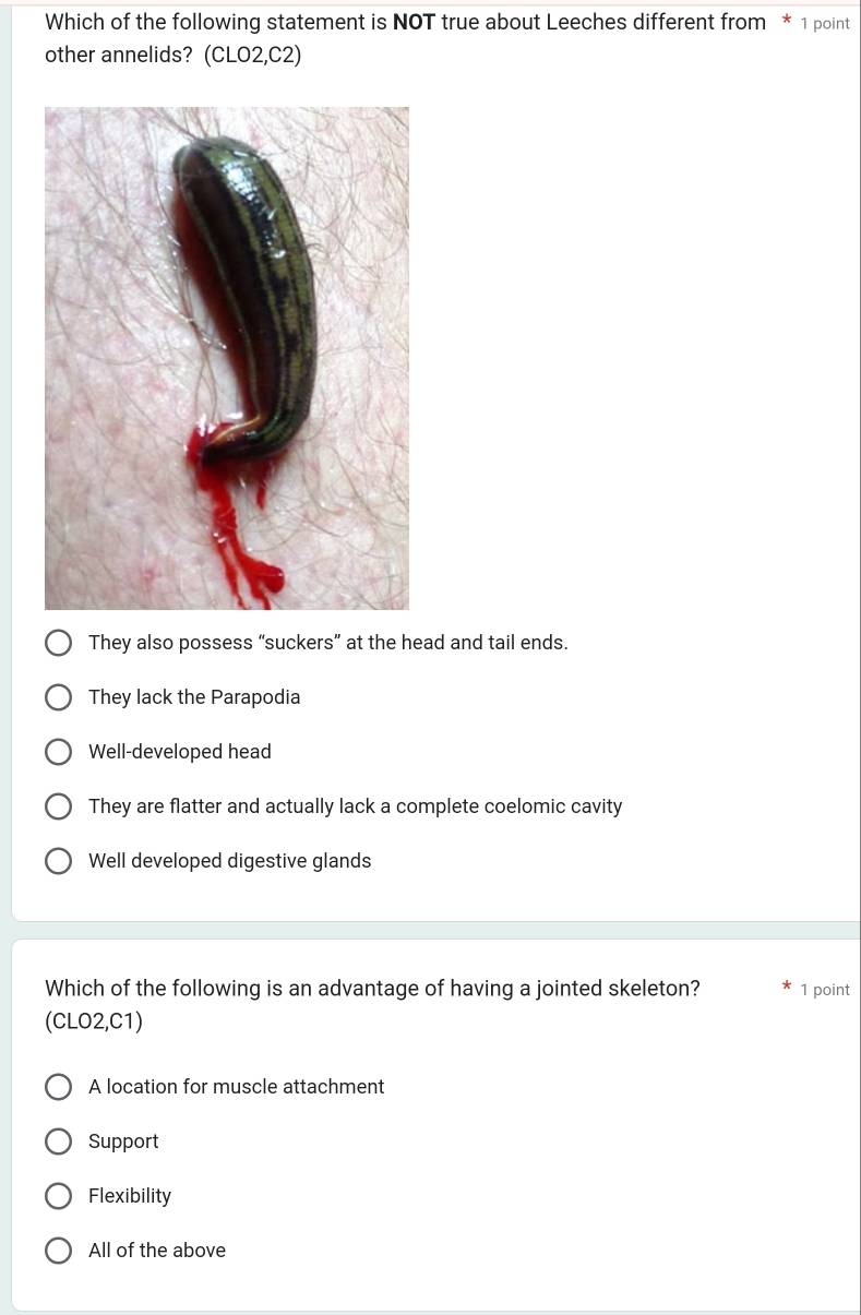 Which of the following statement is NOT true about Leeches different from * 1 point
other annelids? (CLO2,C2)
They also possess “suckers” at the head and tail ends.
They lack the Parapodia
Well-developed head
They are flatter and actually lack a complete coelomic cavity
Well developed digestive glands
Which of the following is an advantage of having a jointed skeleton? 1 point
(CLO2,C1)
A location for muscle attachment
Support
Flexibility
All of the above