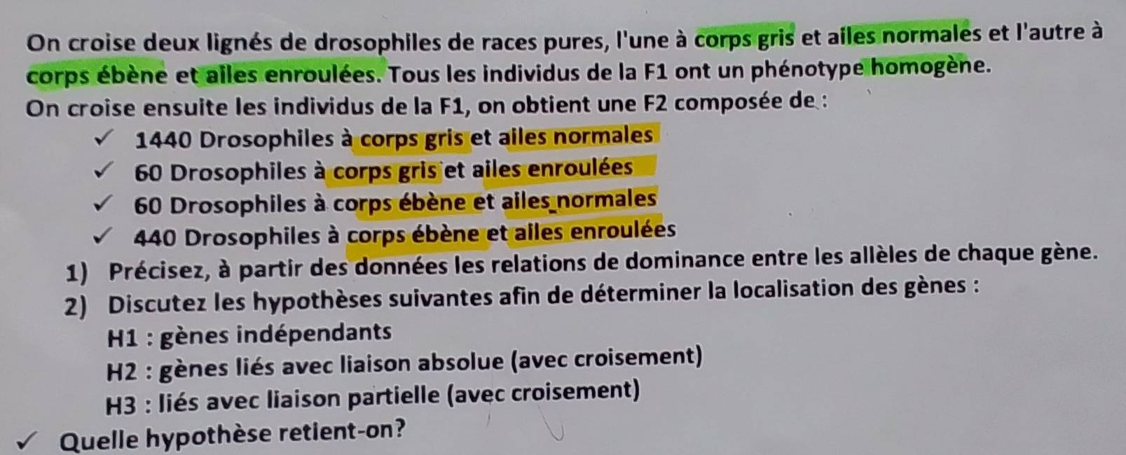 On croise deux lignés de drosophiles de races pures, l'une à corps gris et ailes normales et l'autre à
corps ébène et ailes enroulées. Tous les individus de la F1 ont un phénotype homogène.
On croise ensuite les individus de la F1, on obtient une F2 composée de :
1440 Drosophiles à corps gris et ailes normales
60 Drosophiles à corps gris et ailes enroulées
60 Drosophiles à corps ébène et ailes normales
440 Drosophiles à corps ébène et alles enroulées
1) Précisez, à partir des données les relations de dominance entre les allèles de chaque gène.
2) Discutez les hypothèses suivantes afin de déterminer la localisation des gènes :
H1 : gènes indépendants
H2 : gènes liés avec liaison absolue (avec croisement)
H3 : liés avec liaison partielle (avec croisement)
Quelle hypothèse retient-on?