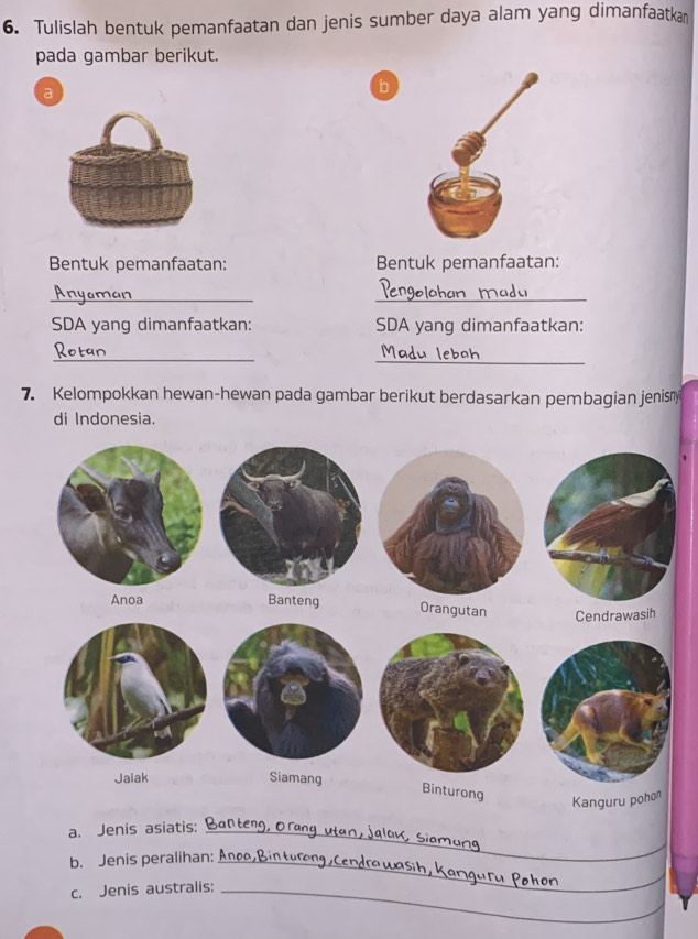 Tulislah bentuk pemanfaatan dan jenis sumber daya alam yang dimanfaatkan 
pada gambar berikut. 
a 
b 
Bentuk pemanfaatan: Bentuk pemanfaatan: 
__ 
SDA yang dimanfaatkan: SDA yang dimanfaatkan: 
_ 
_ 
7. Kelompokkan hewan-hewan pada gambar berikut berdasarkan pembagian jenism 
di Indonesia. 
a. Jenis asiatis:_ 
b. Jenis peralihan: A_ 
c. Jenis australis:_