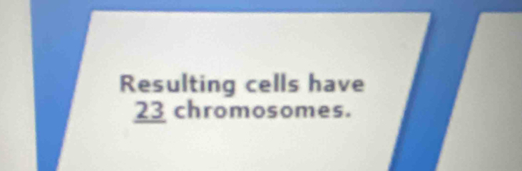 Resulting cells have
23 chromosomes.